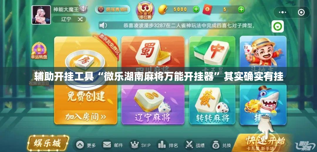 辅助开挂工具“微乐湖南麻将万能开挂器”其实确实有挂