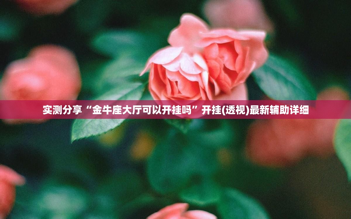 实测分享“金牛座大厅可以开挂吗”开挂(透视)最新辅助详细