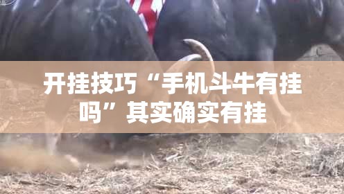 开挂技巧“手机斗牛有挂吗	”其实确实有挂