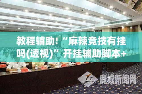 教程辅助!“麻辣竞技有挂吗(透视)	”开挂辅助脚本+详细开挂安装教程