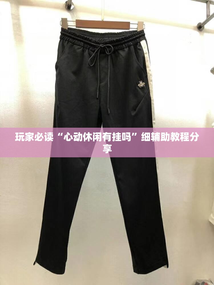 玩家必读“心动休闲有挂吗	”细辅助教程分享