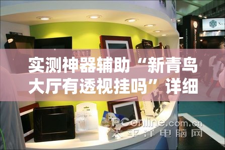 实测神器辅助“新青鸟大厅有透视挂吗”详细分享装挂步骤