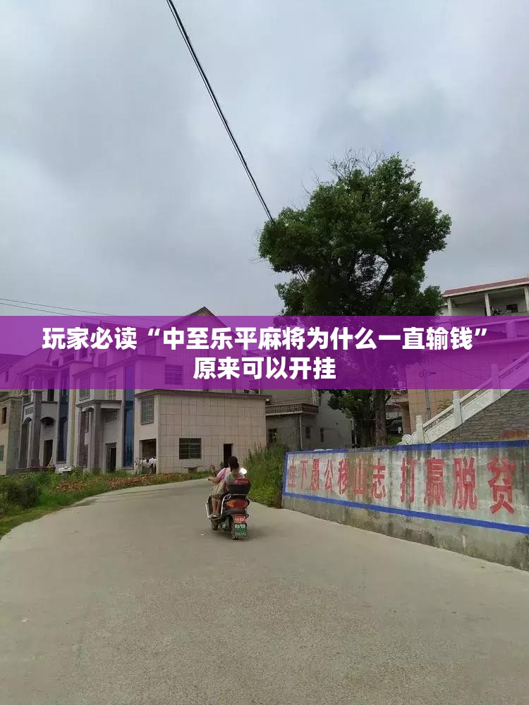 玩家必读“中至乐平麻将为什么一直输钱”原来可以开挂