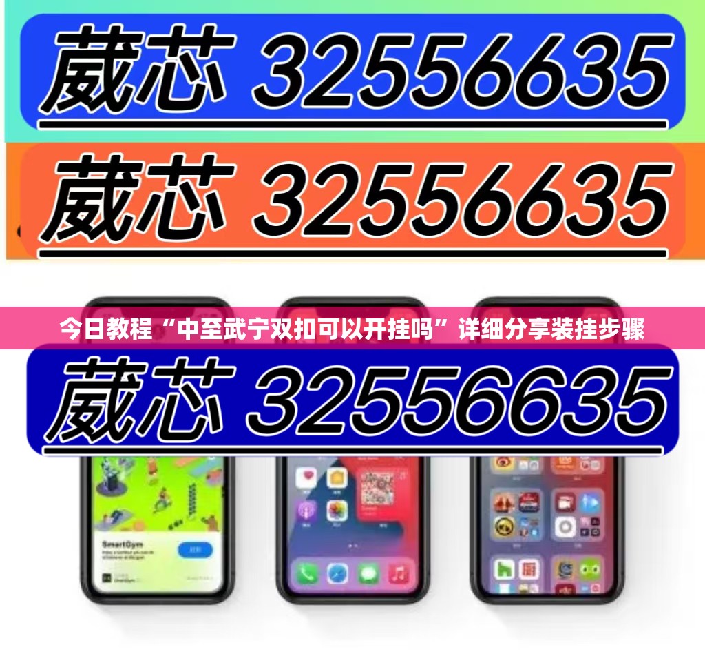 今日教程“中至武宁双扣可以开挂吗”详细分享装挂步骤