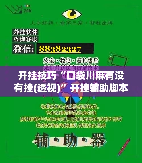 开挂技巧“口袋川麻有没有挂(透视)”开挂辅助脚本+详细开挂安装教程