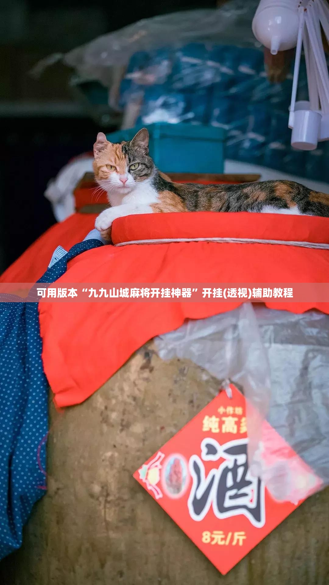 可用版本“九九山城麻将开挂神器”开挂(透视)辅助教程