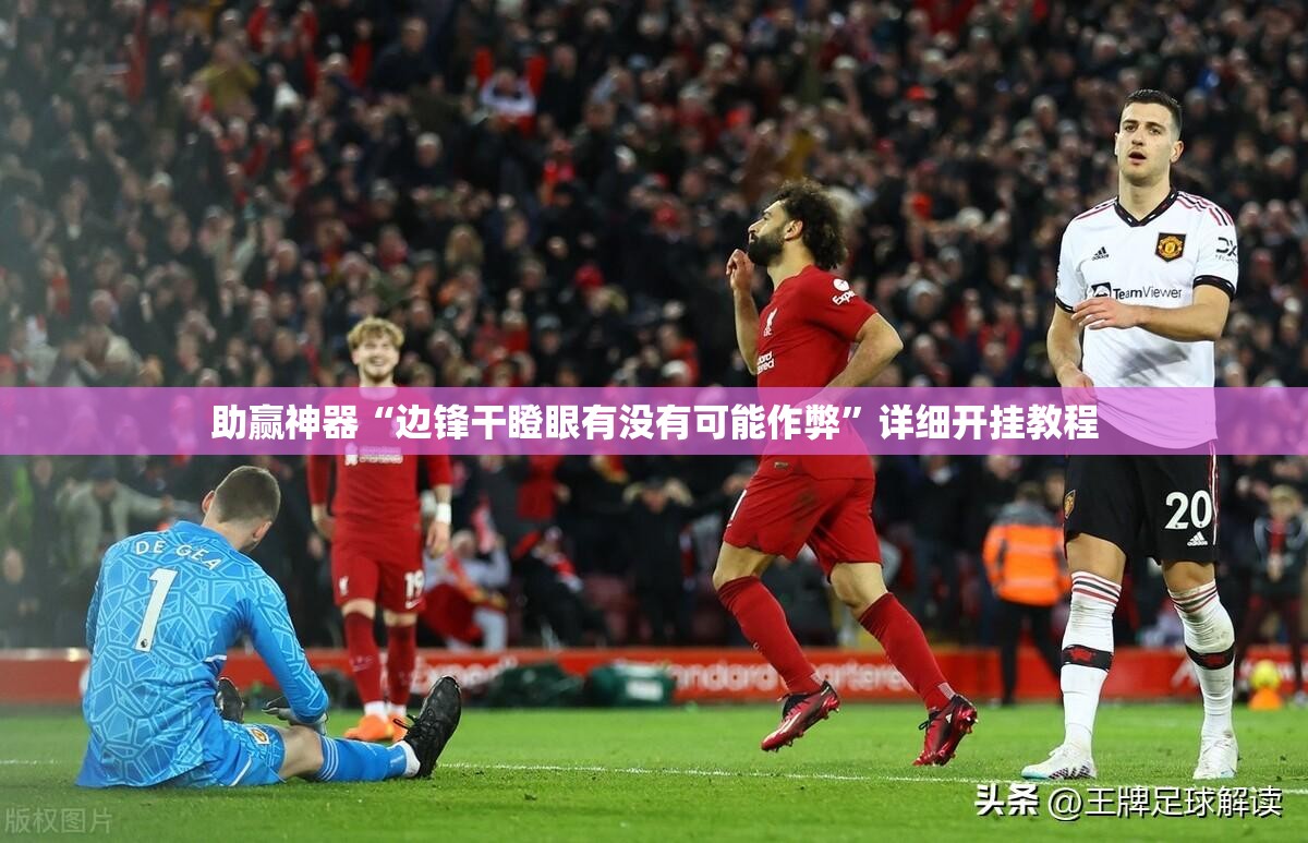 助赢神器“边锋干瞪眼有没有可能作弊”详细开挂教程