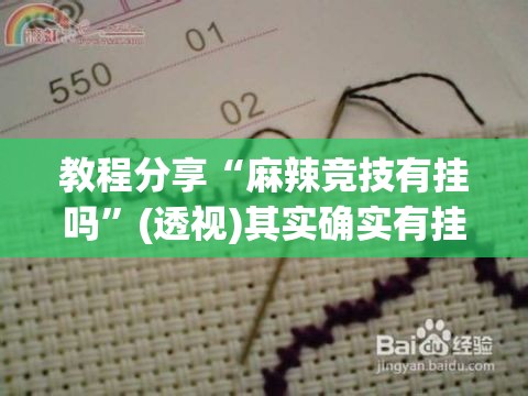 教程分享“麻辣竞技有挂吗”(透视)其实确实有挂