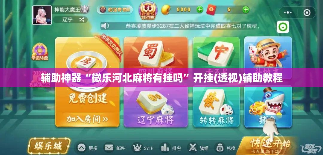 辅助神器“微乐河北麻将有挂吗”开挂(透视)辅助教程
