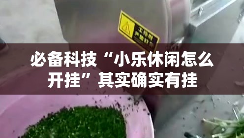 必备科技“小乐休闲怎么开挂”其实确实有挂