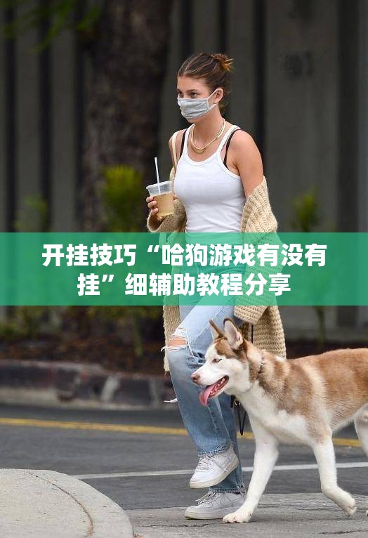 开挂技巧“哈狗游戏有没有挂”细辅助教程分享