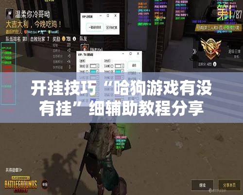 开挂技巧“哈狗游戏有没有挂”细辅助教程分享